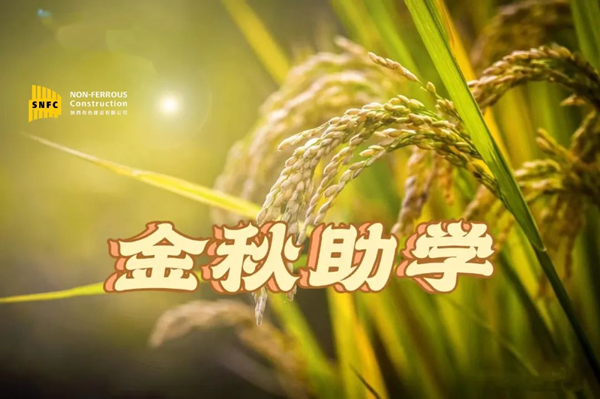 金秋時(shí)節(jié)，照亮追夢之路！